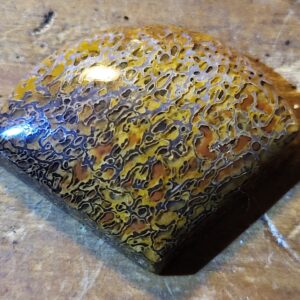 33.2 ct Agatized Dinosaur Gem Bone Cabochon - Spiderweb Cell Pattern - Utah